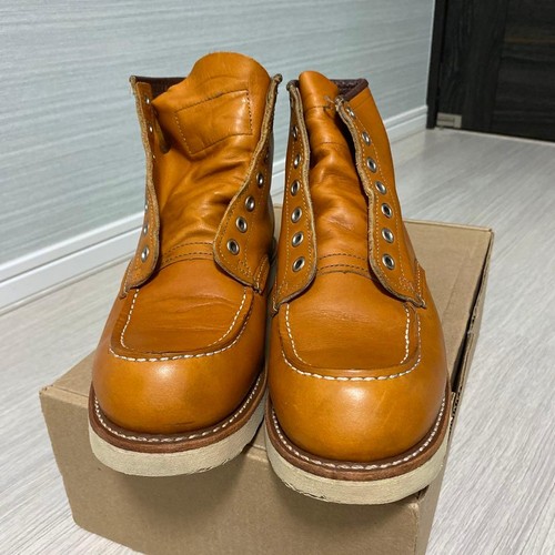 Ala rossa 9875 - ala,
